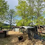 Al Ranch Vakantieboerderij *