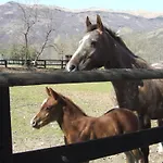 Al Ranch *
