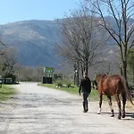 Al Ranch