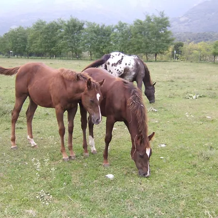 Al Ranch * Castello dʼAviano