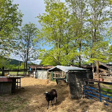 Agriturismo Al Ranch Farm stay *