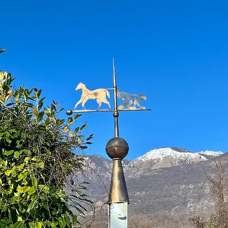 Al Ranch Farma *