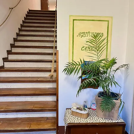 Al Ranch Farmház Castello dʼAviano