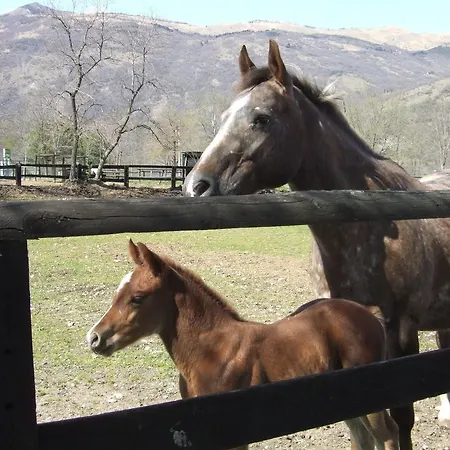 Agriturismo Al Ranch *