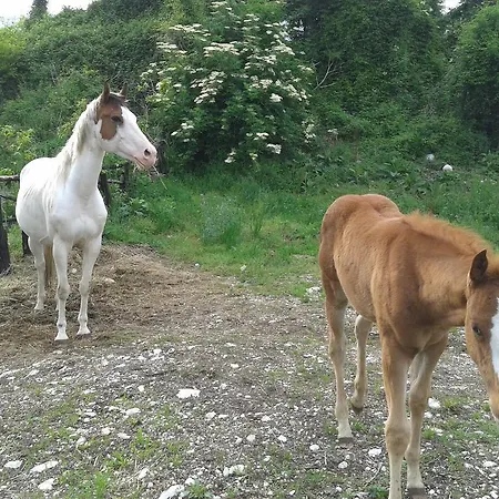 Agriturismo Al Ranch Farm stay