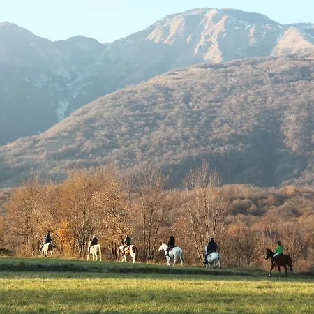 Agriturismo Al Ranch Farm stay *