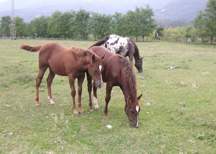 Al Ranch * Castello dʼAviano